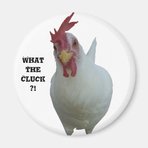 Íman Que o Cluck?!