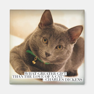 Íman Que presente maior que o amor de um gato?