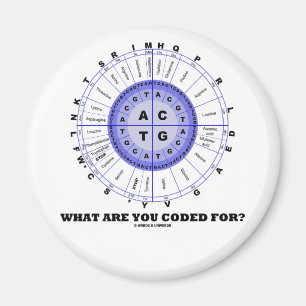 Íman Que você é codificado para? (Roda do ácido