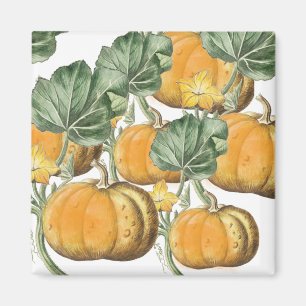 Íman Quebra de Autumn Watercolor Vintage Pumpkins