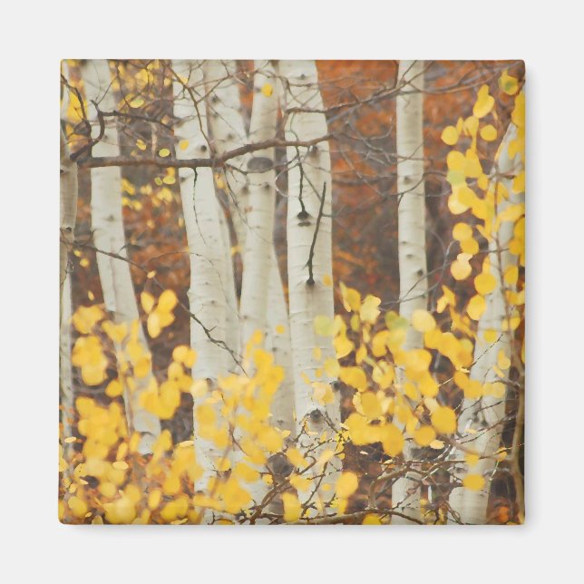 Íman Queda de Aspens (Frente)