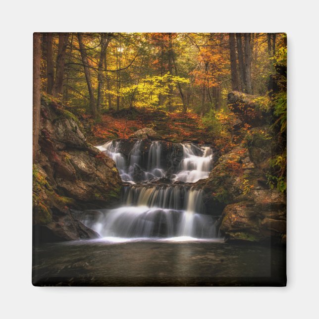 Íman Quedas | New England Connecticut (Frente)