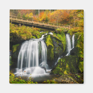 Íman Quedas   Triberg Waterfall, Alemanha
