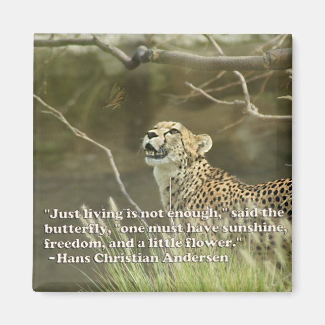 ÍMAN QUEIJO E MANTEIGA (Frente)