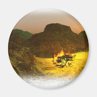 Íman Queimando Bush 1