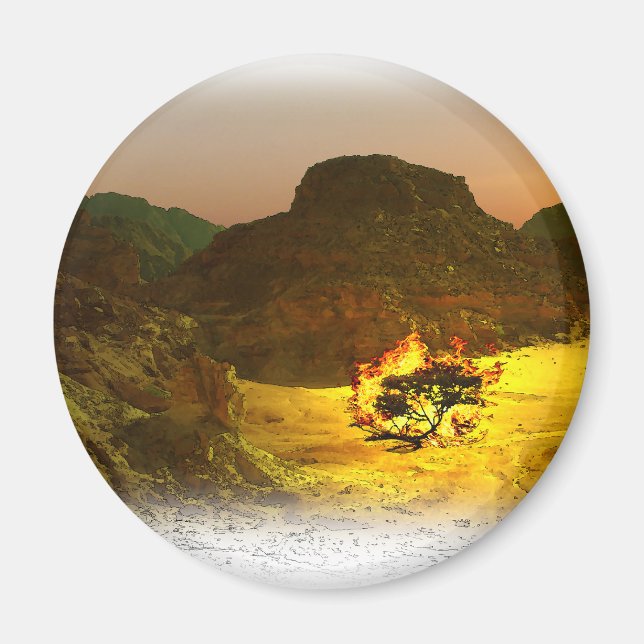 Íman Queimando Bush 1 (Frente)