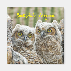 Íman Quem está aí? Par de Scottsdale, Arizonas