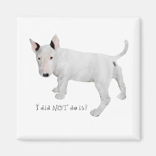 Íman Quem, eu? Cachorrinho Bull Terrier