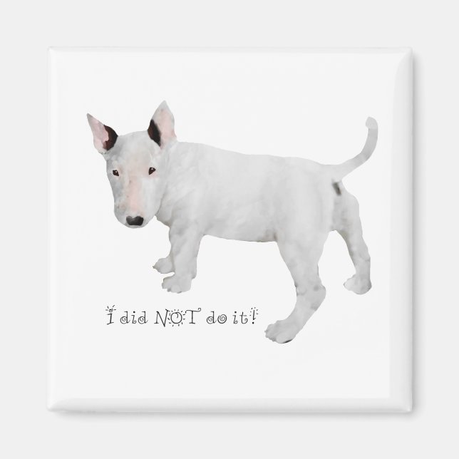 Íman Quem, eu?  Cachorrinho Bull Terrier (Frente)