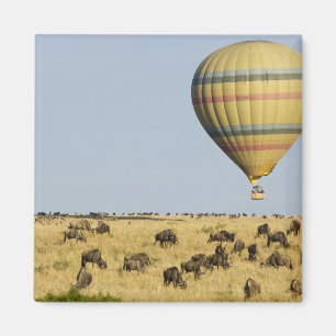 Íman Quênia, Masai Mara. Turistas passeiam de balão de