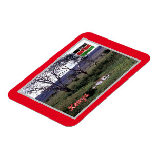 Íman Quênia - Panorama -