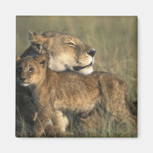 Íman Quênia, Reserva de Caça Masai Mara, Leoa