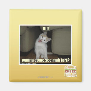 Íman Quer ir ver mah fort?