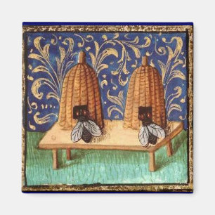 ÍMAN QUERIDA, PROFESSOR