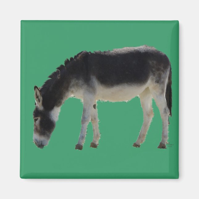 Íman Querido burro sobre verde - Amantes de os animais (Frente)