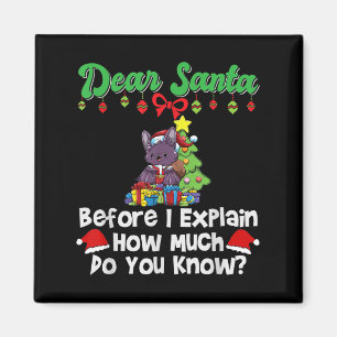 Íman Querido Papai Noel Antes de Eu Explicar Quanto Voc