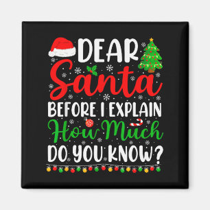 Íman Querido Papai Noel Eu Posso Explicar Camiseta Cria