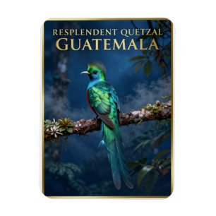 Íman 🐦 Quetzal Resplandecente Floresta Nublada da Guat