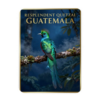 Íman 🐦 Quetzal Resplandecente Floresta Nublada da Guat
