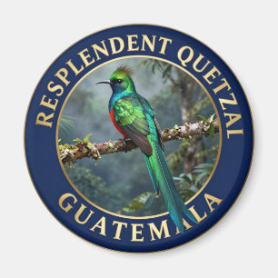 Íman 🐦 Quetzal Resplandecente Guatemala Ave Exótica