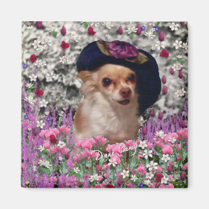 Íman Qui nas flores - filhote de cachorro do qui da