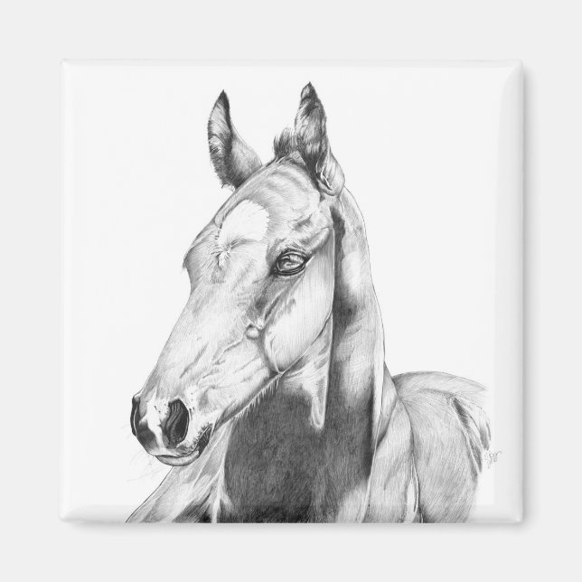 Íman Quiet Gaze (Frente)