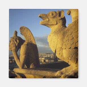 Íman Quimera, Catedral de Notre Dame, Paris, França