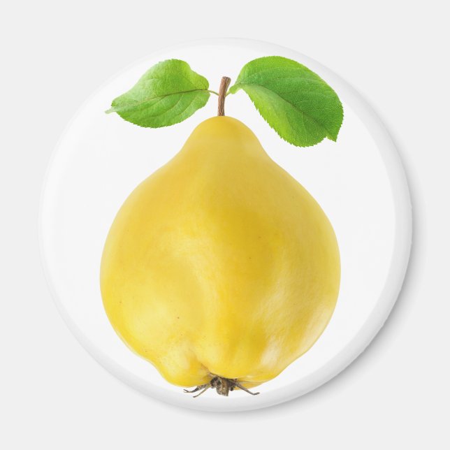 Íman Quince fruta (Frente)