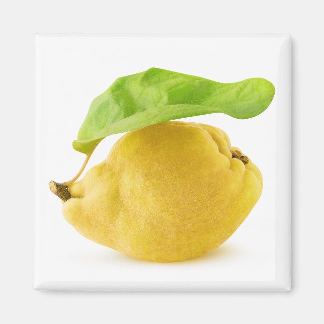 Íman Quince fruta (Frente)