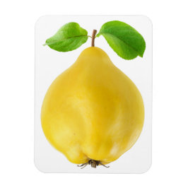Íman Quince fruta