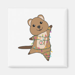 Íman Quokas de Quokas de Animais de Inverno de Neve de 