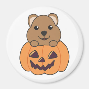 Íman Quokka em Pumpkin Cute Quokkas Happy Halloween Mag