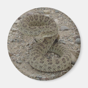 Íman R9 Cascavel Rattlesnake
