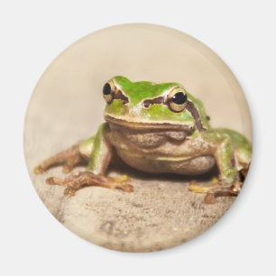 ÍMAN RÃ