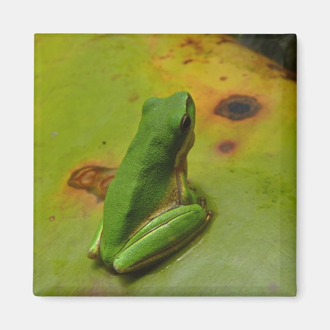 Íman rã verde (Frente)