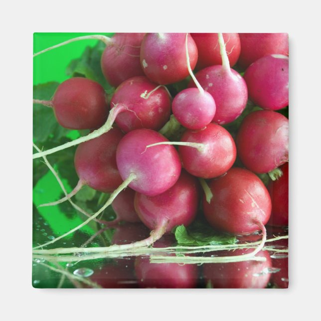 Íman Rabanete (Frente)