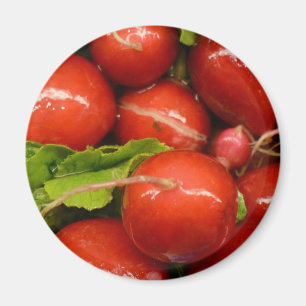 Íman Rabanete vermelho
