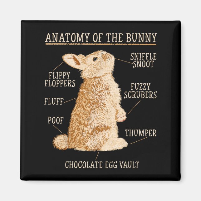 Íman Rabbit Anatomy Bunny Lover Animal Pet Owner  (Frente)
