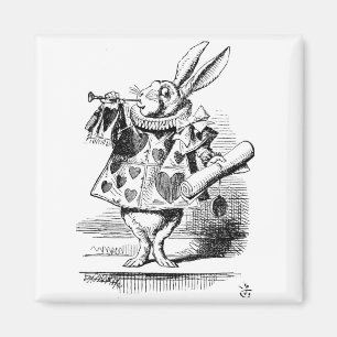 Íman Rabbit branco vestido de Herald