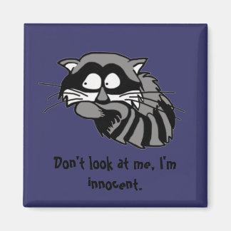 Íman Raccoon