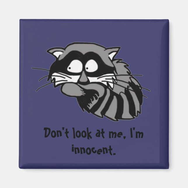 Íman Raccoon (Frente)