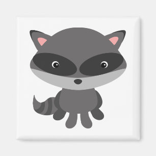 Íman Raccoon