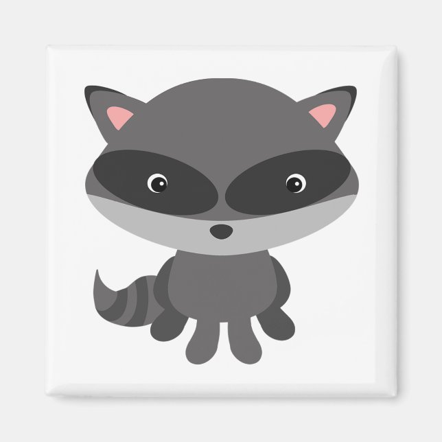 Íman Raccoon (Frente)