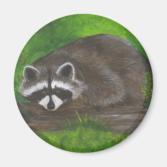 Íman Raccoon (Frente)