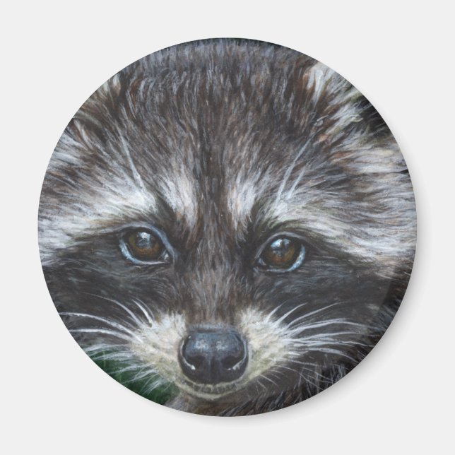 Íman Raccoon 3 (Frente)