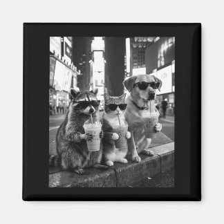 Íman Raccoon Cat Dog Drinking Iced Coffee Funny Animal