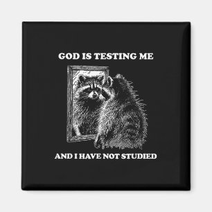 Íman Raccoon Meme Engraçado Dizer Que Deus Está Me Test