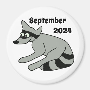 Íman Raccoon, setembro de 2024