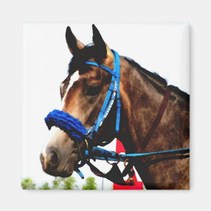 Íman Race Horse