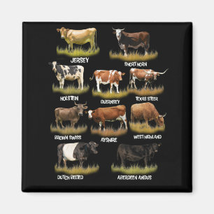 Íman Rações de Vaca Retro-Agricultor Carne de Bovino